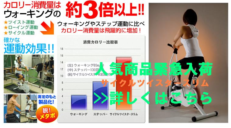 �T�C�N���c�C�X�^�[�X����